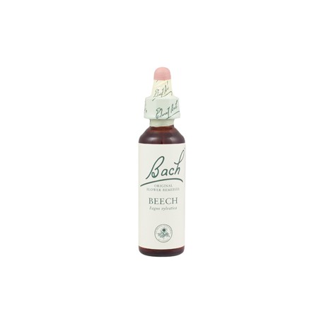 BEECH 20 ml (Buk lesní), Bachovy esence