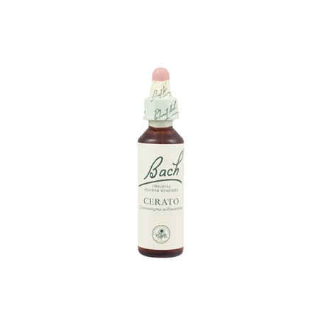 CERATO 20 ml (Rožec), Bachovy esence