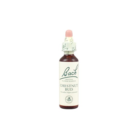 CHESTNUT BUD 20 ml (Poupě jírovce, koňského kaštanu), Bachovy esence